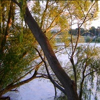 Lake and foreshore. Dianetics and Scientology Canberra.